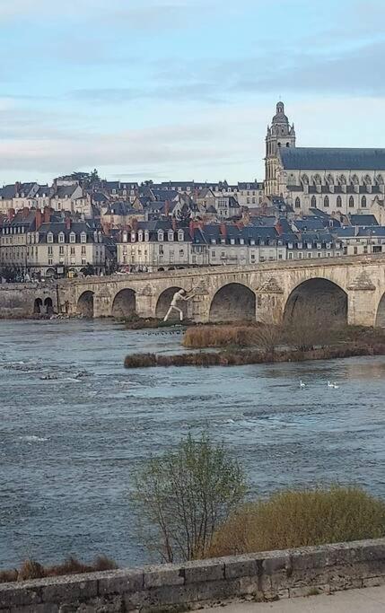 Charme De Loire Vue Sur La Loire - Charm Of Loire Overlooking Loire Apartment Blois Bagian luar foto