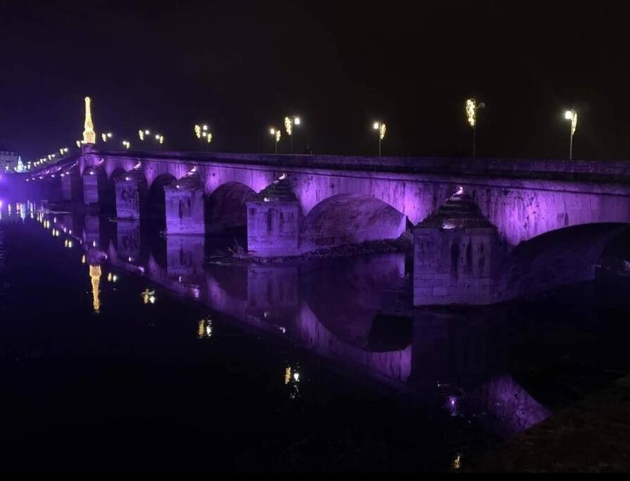 Charme De Loire Vue Sur La Loire - Charm Of Loire Overlooking Loire Apartment Blois Bagian luar foto